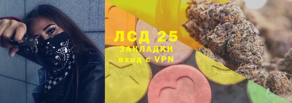 гашик Алзамай