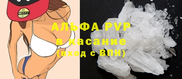 гашик Алзамай