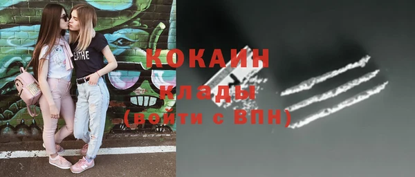 apvp Рославль